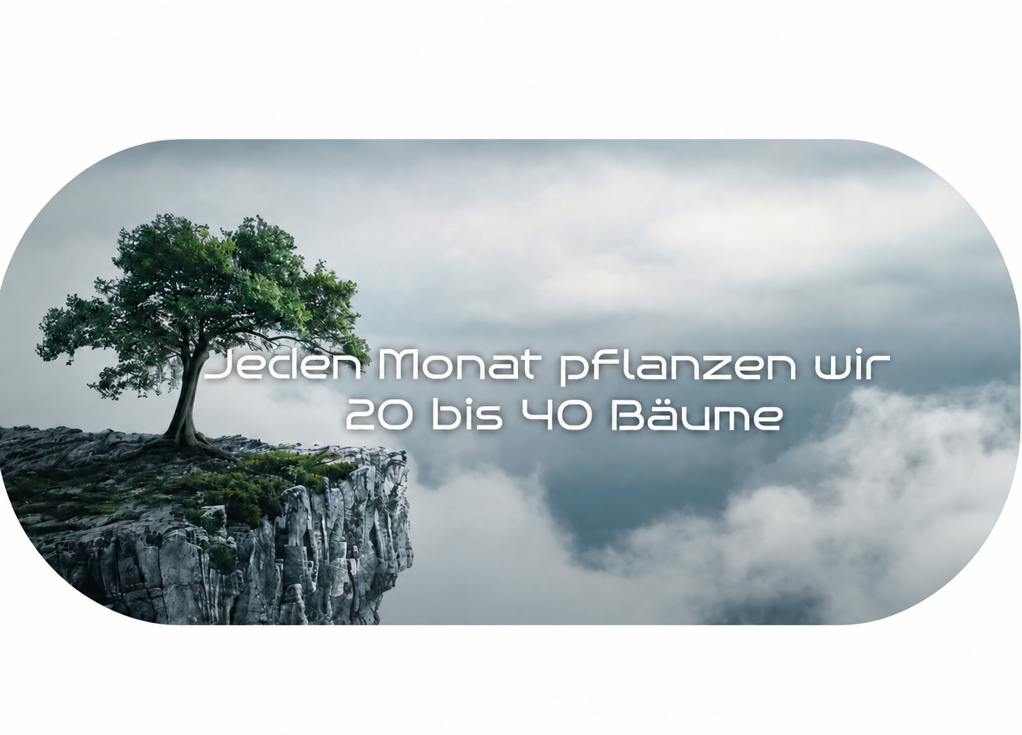 Bäume